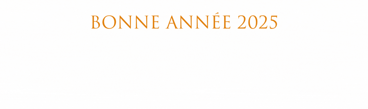 Bannière animée - Bonne année 2025 - Tetra