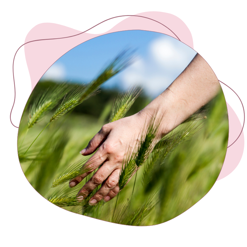 Illustrations ligne du temps-9